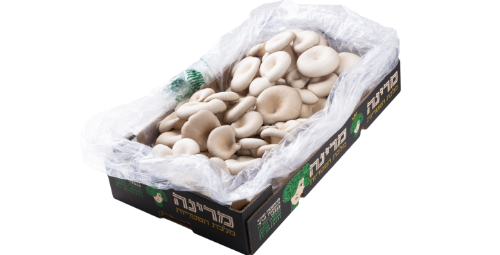 Exotic Mushroom Packaging