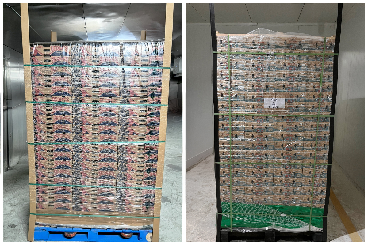 StePacPPC’s Pallet -Shrouds Preserve Produce Freshness All the Way to Retail