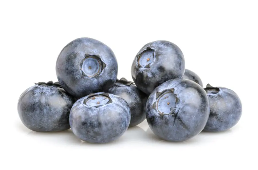 Blueberry Packaging