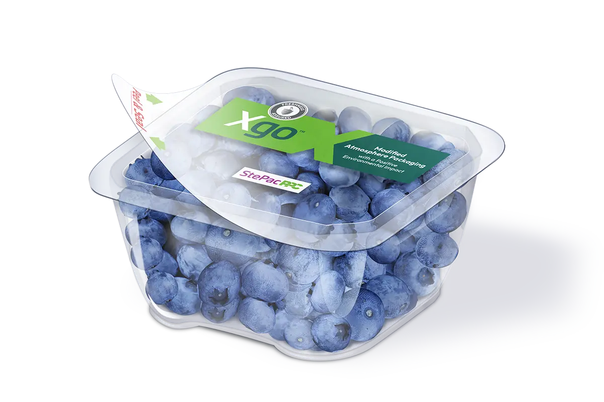 Xgo Resealable Lidding Film Blueberries packaging