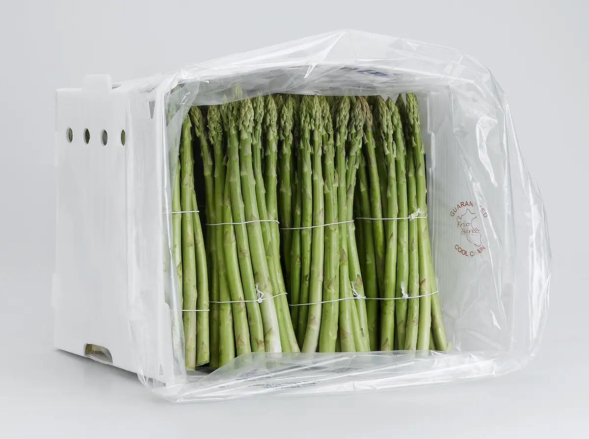 Xtend Asparagus opened