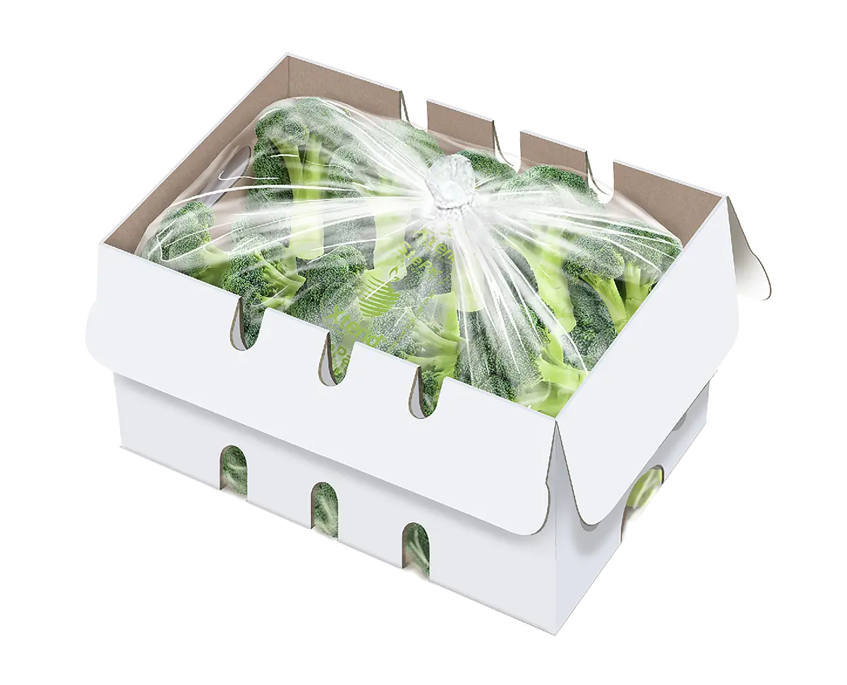 Xtend Broccoli closed 120919