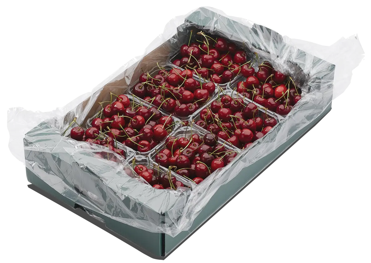 Xtend Cherry packaging opend