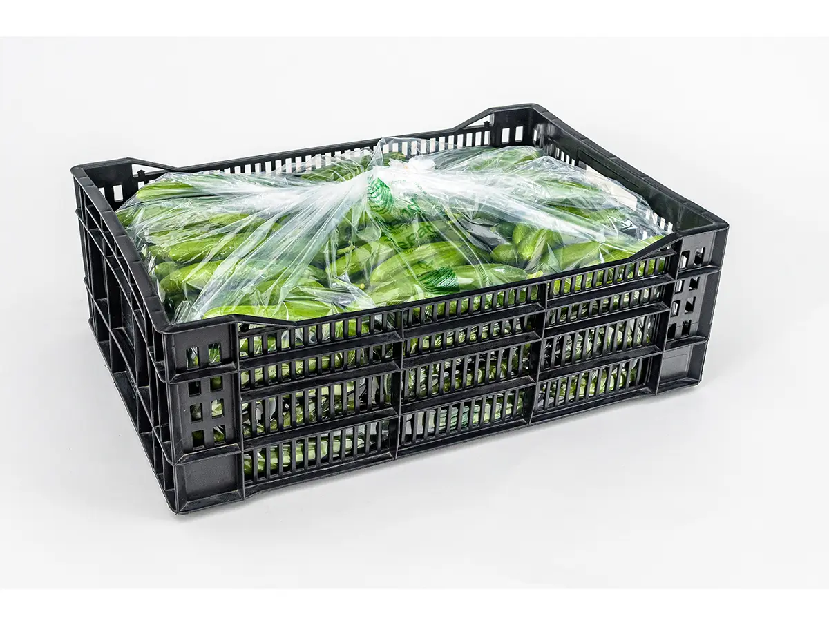 Xtend Cucumbers closed 3