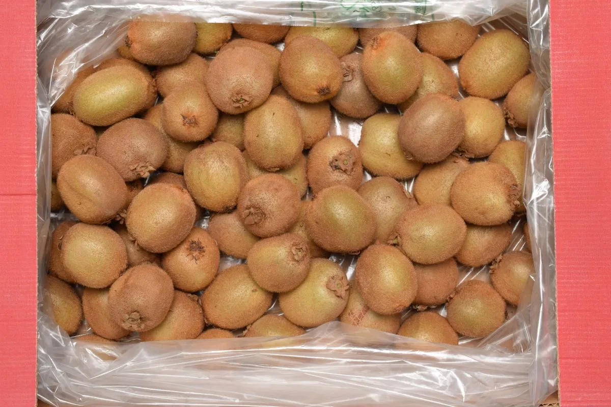 Xtend Kiwi Packaging opened