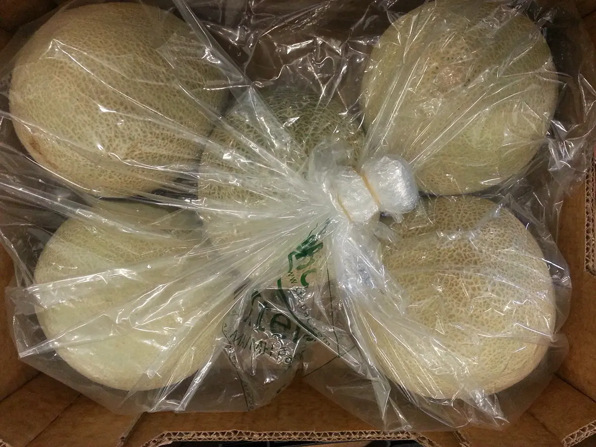 Xtend Melon Cantaloupe closed