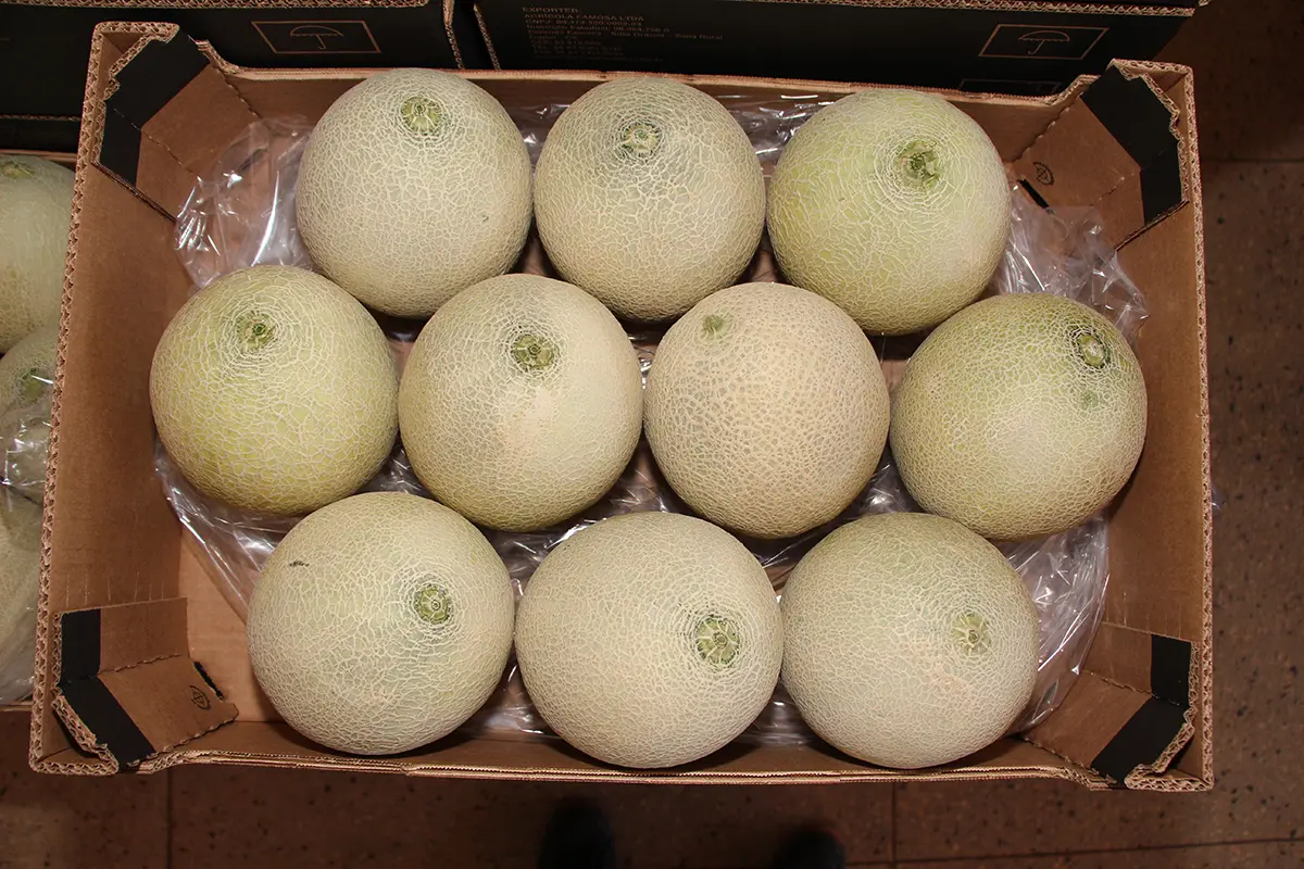 Xtend Melon Honeydew opened