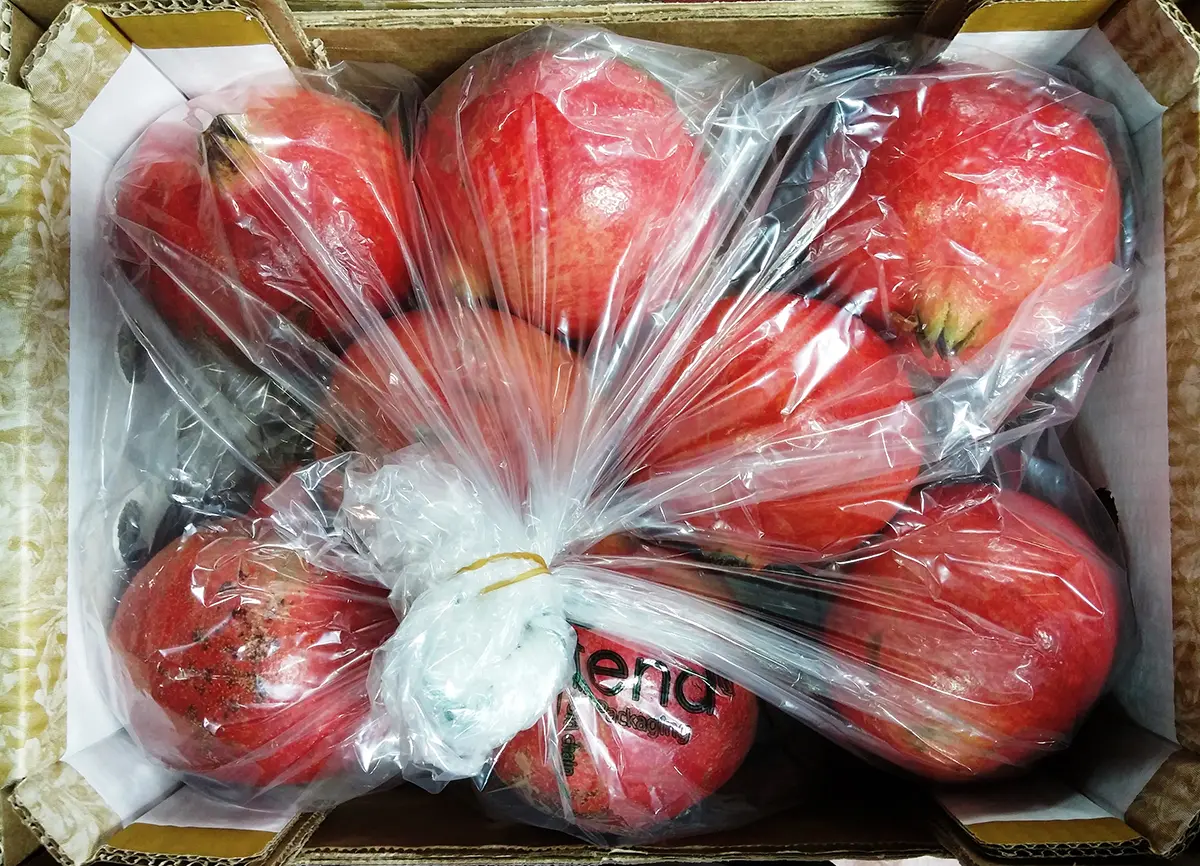 Xtend Pomegranates closed