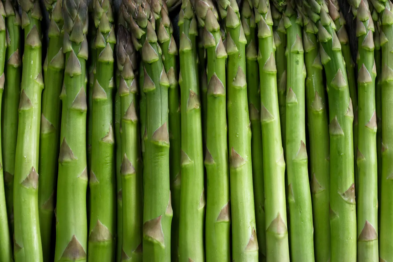 asparagus packaging