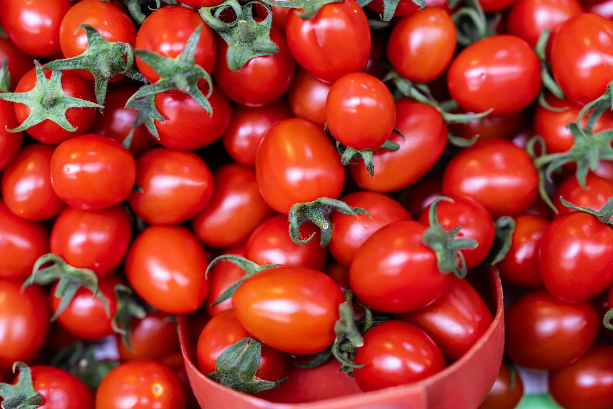cherry tomato packaging