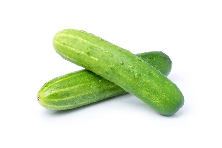 packaging for cucumbers