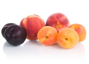stone fruit packaging