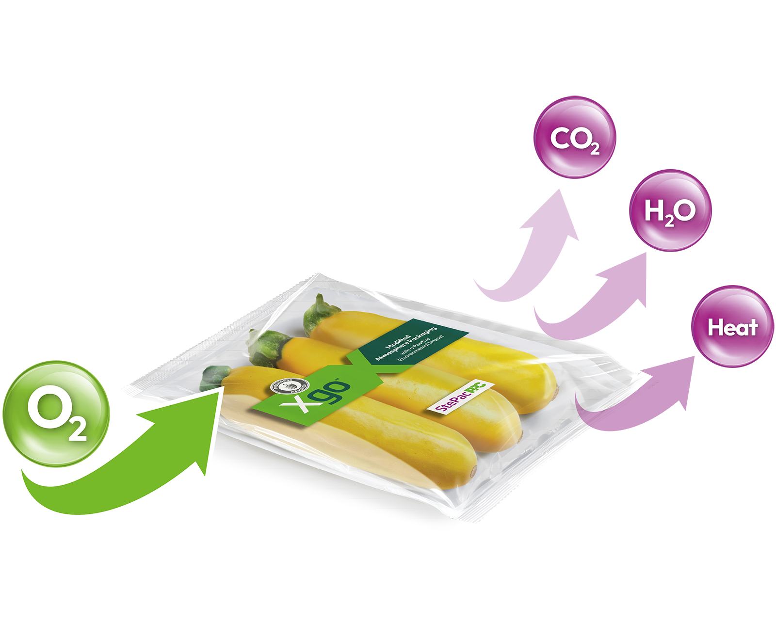 modified atmosphere packaging of fruits and vegetables