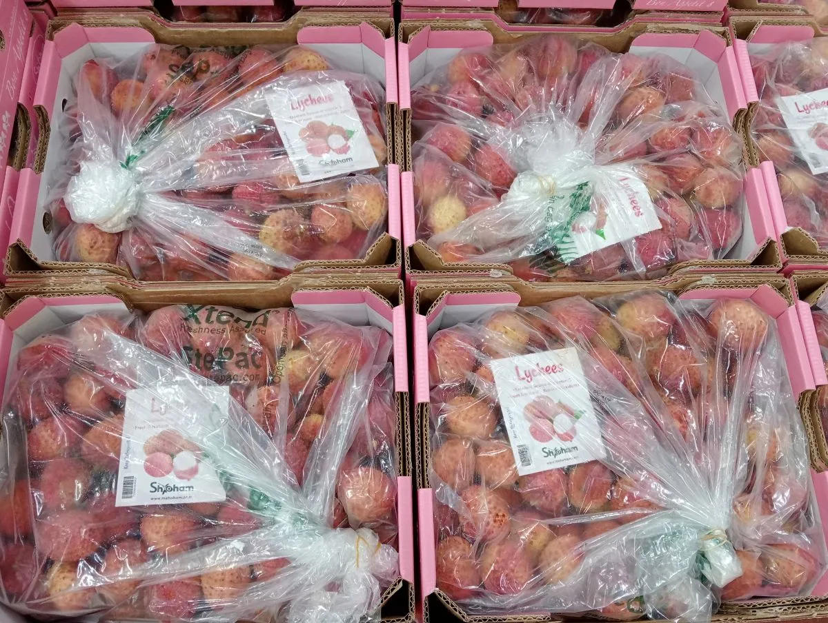 Miriam Shoham Xtend Lychee Packaging