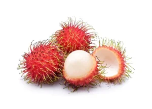 Rambutan Packaging