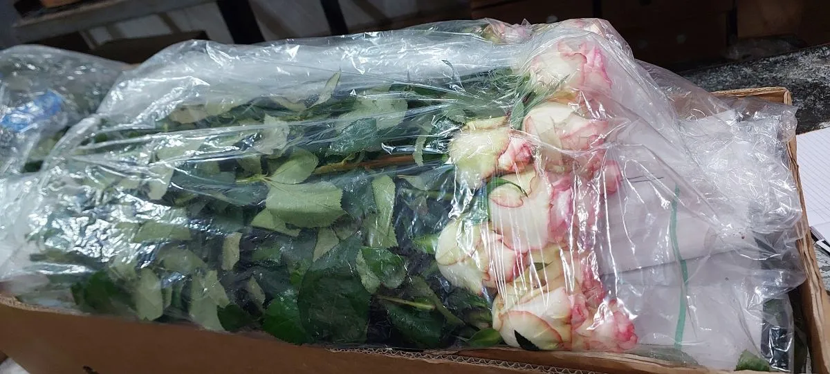 Xbloom™ Flower Packaging Roses