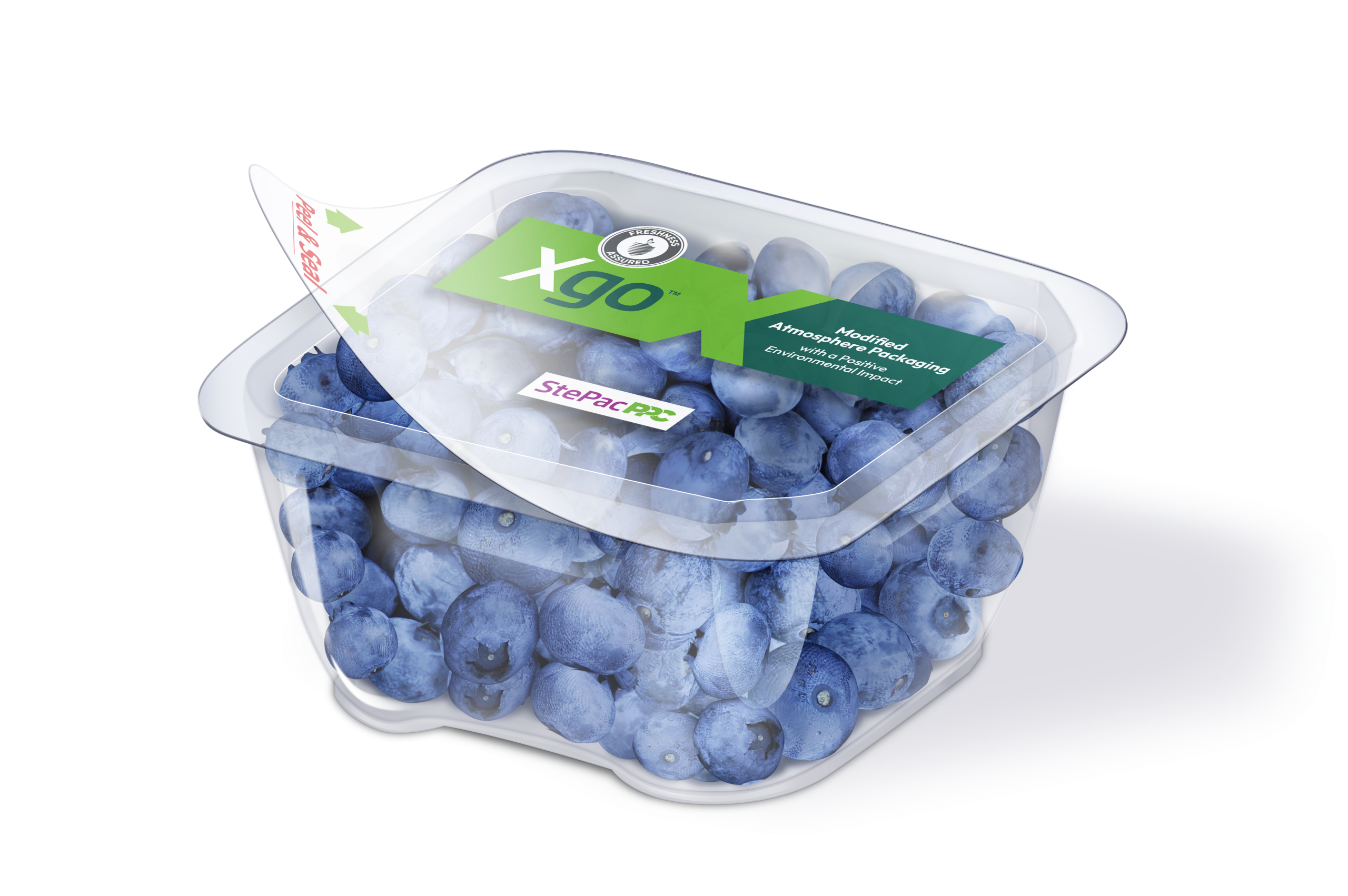 Xgo Resealable Lidding Film Blueberries