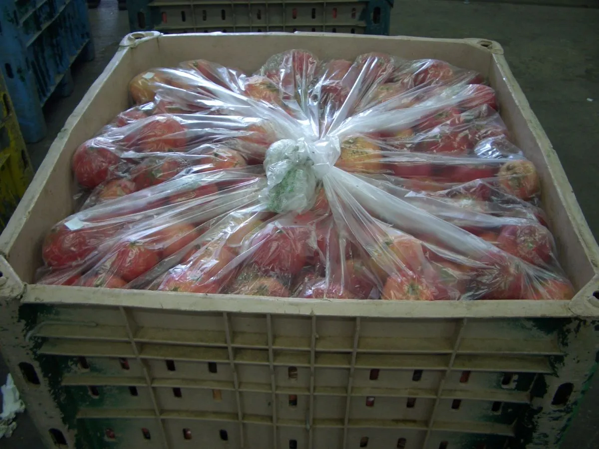 Xtend Pomegranates Bin Liner closed