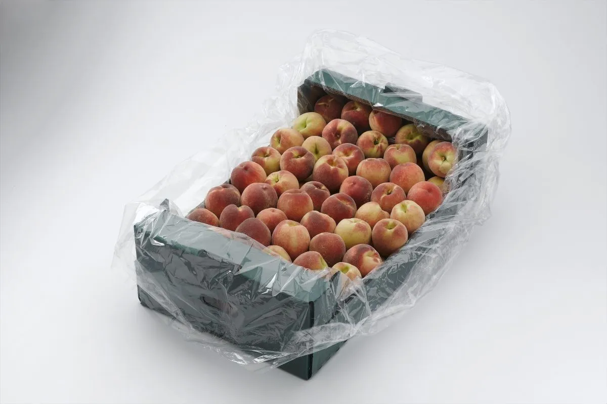 Xtend Peach stone fruits opened