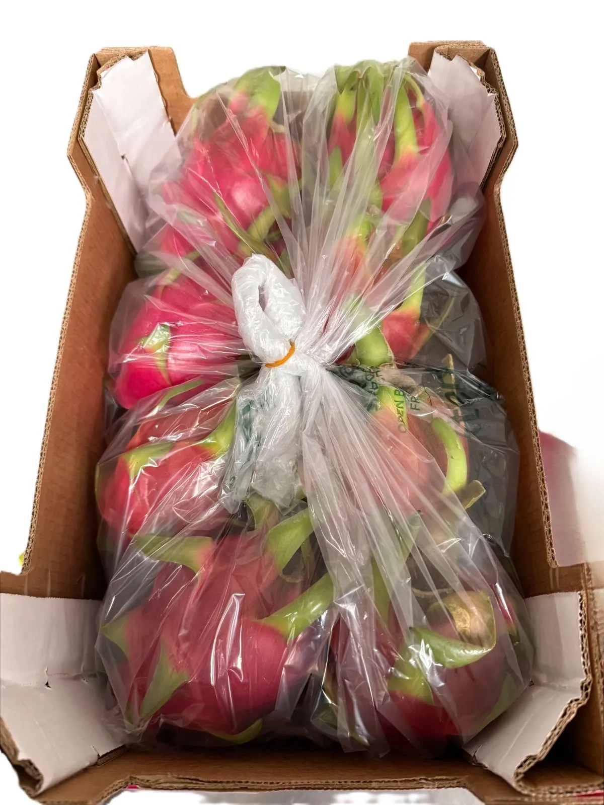 Xtend pitaya packaging closed