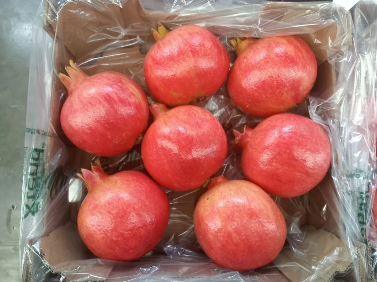 Xtend Pomegranates Packaging open
