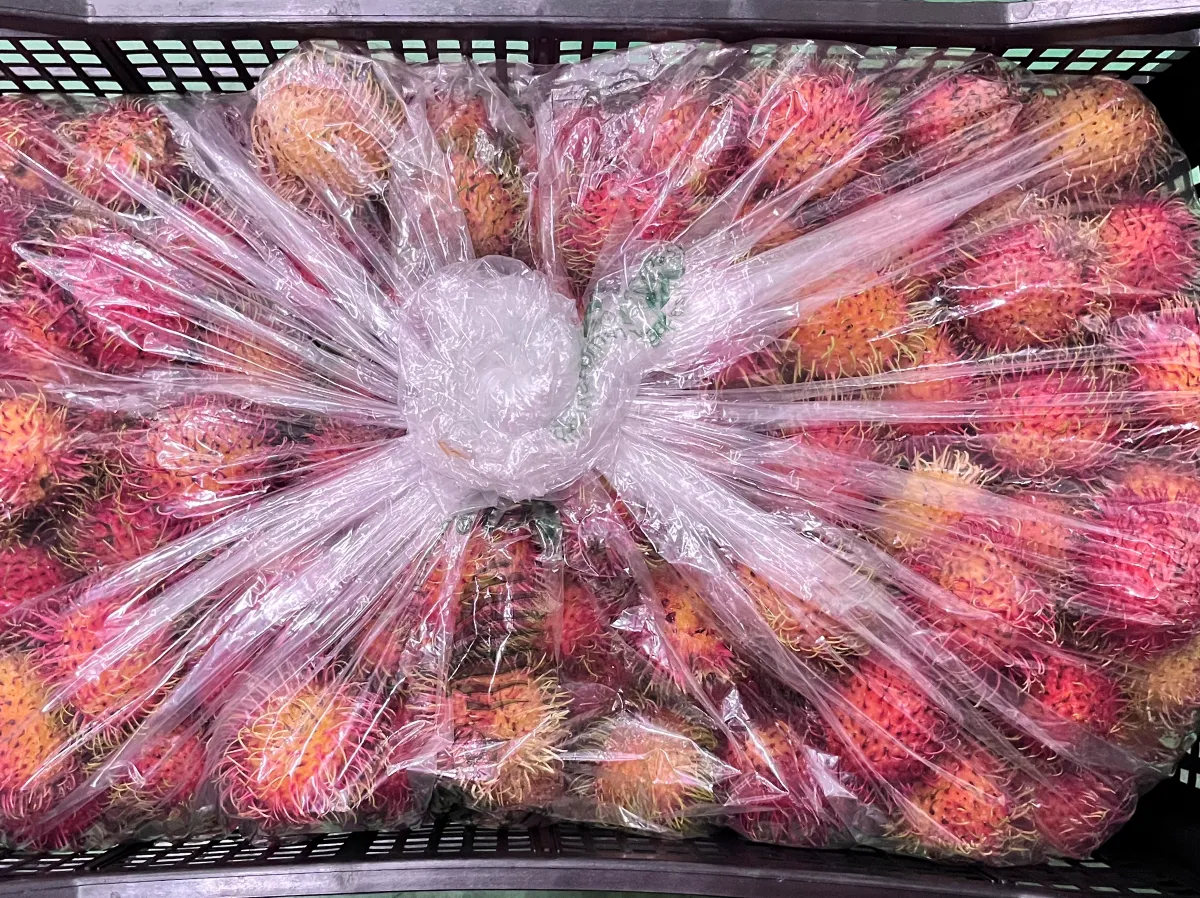 Xtend Rambutan packaging closed