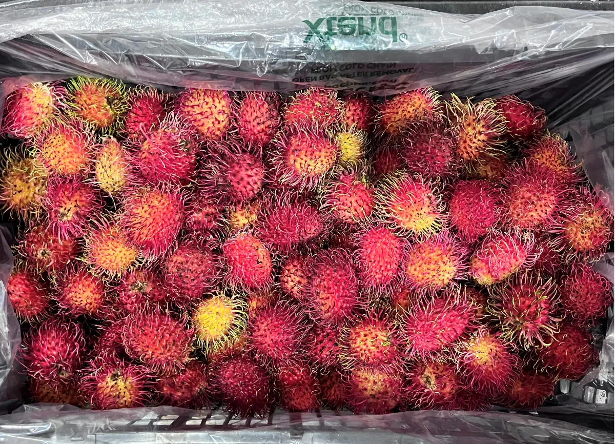 Xtend Rambutan packaging opened